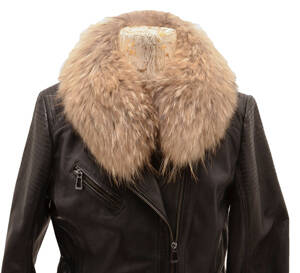 5col_renard_veritable_naturel_aline_3__025127600_1515_03072017