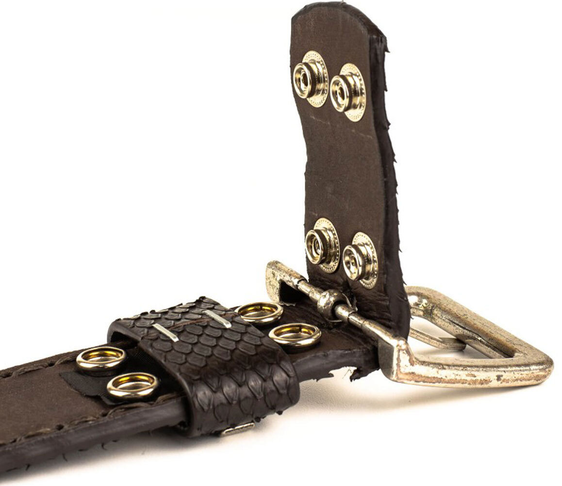 Vêtement en cuir Accessoires marron