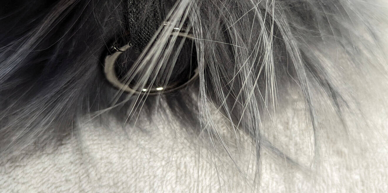 Vêtement en cuir Accessoires gris