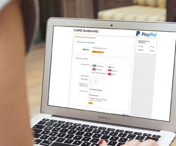 paypal
